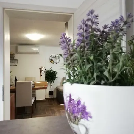 Sara Apartment
